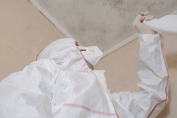 Best Emergency Mold Removal  in Seward, NE