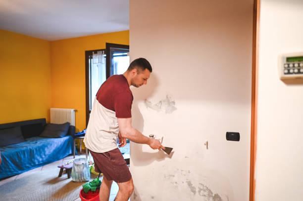 Best Water Damage Restoration  in Seward, NE